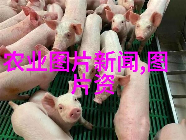 绿色革命探索农业局支持的创新项目