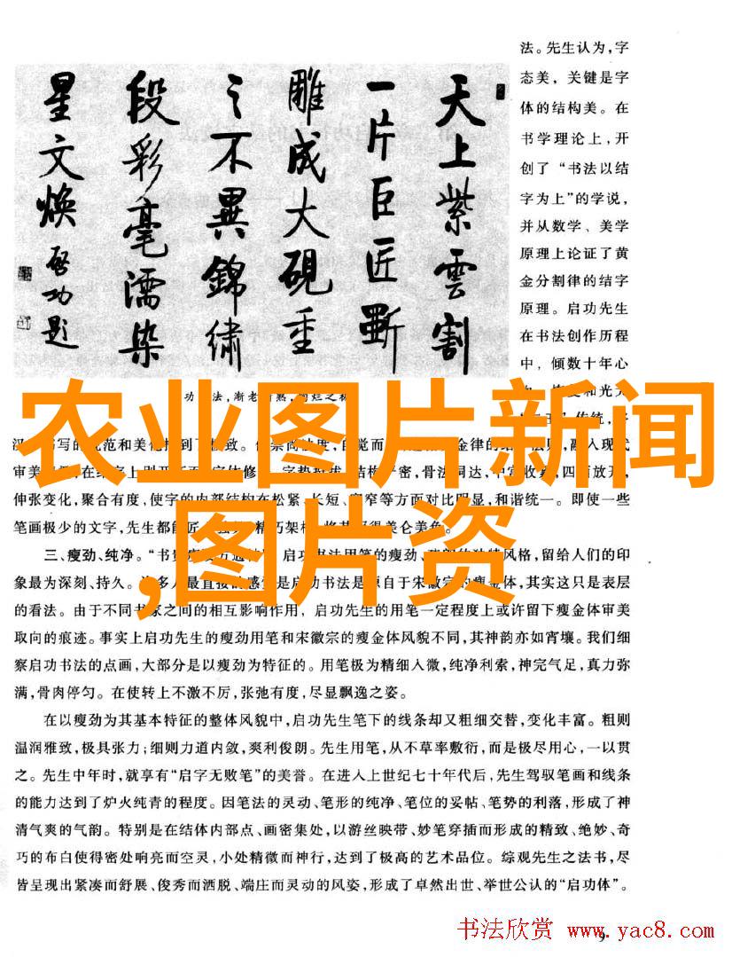 空房变金窝种植致富的智慧之旅