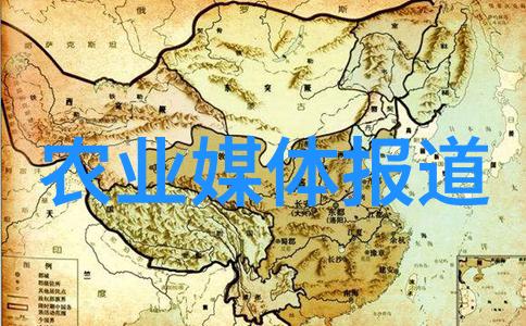 中药材种植专业合作社共创绿色健康的未来