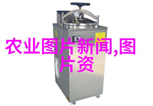 中药材种植基地简介 - 绿茵草地上的古方探索中国传统药材的现代种植园