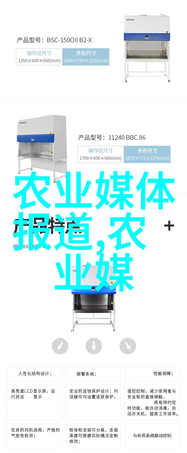 男朋友总是说要吃我的扇贝-爱情中的海鲜误会揭秘扇贝背后的真相