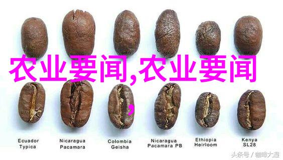 大叔的话语奶奶里有虫子的隐秘
