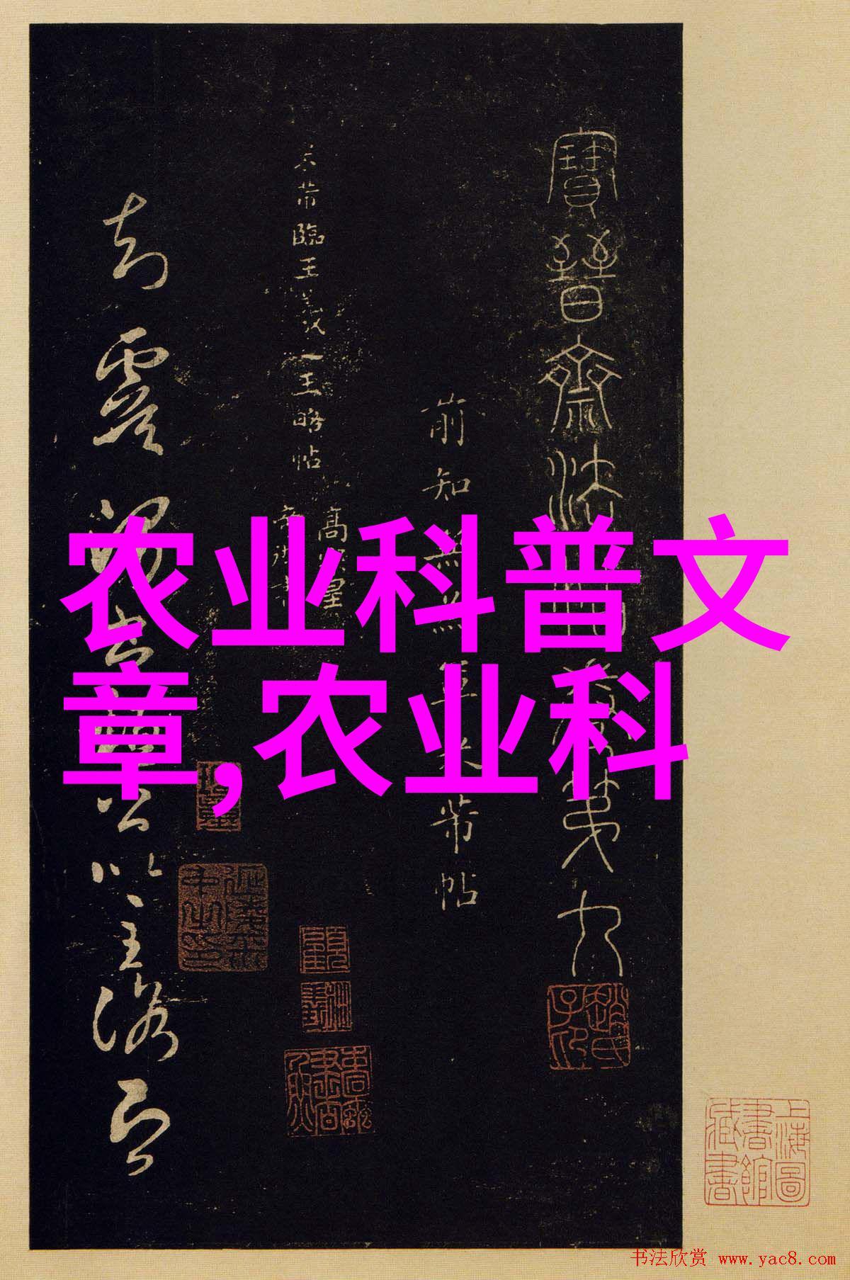 茶下小趣揭秘茶友间的智斗与笑谈