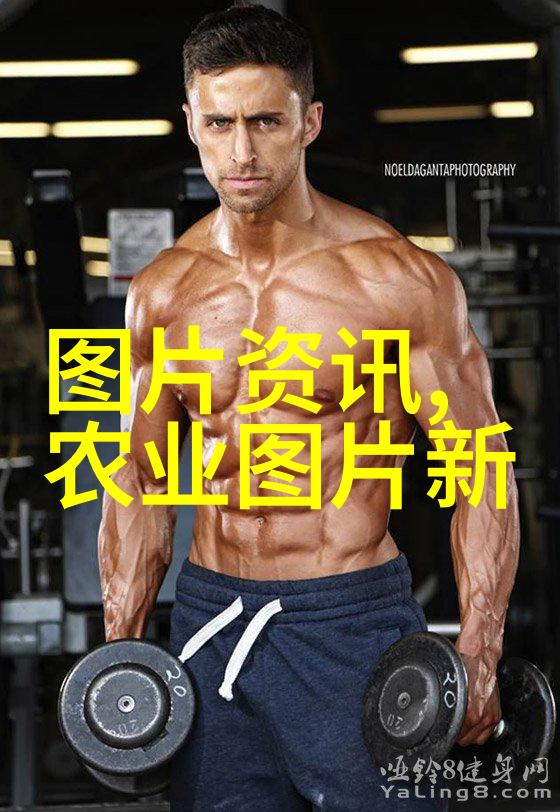 传统手工方法与机械化打捆对农民劳动效率的影响有多大