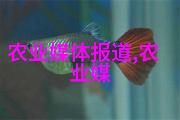 种植蔬菜过程分为几个步骤我来教你如何简单快捷地种出美味的家园蔬菜