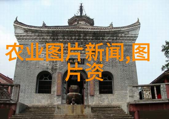 开源药材免费提供药材种苗基地倡议推动传统医学可持续发展