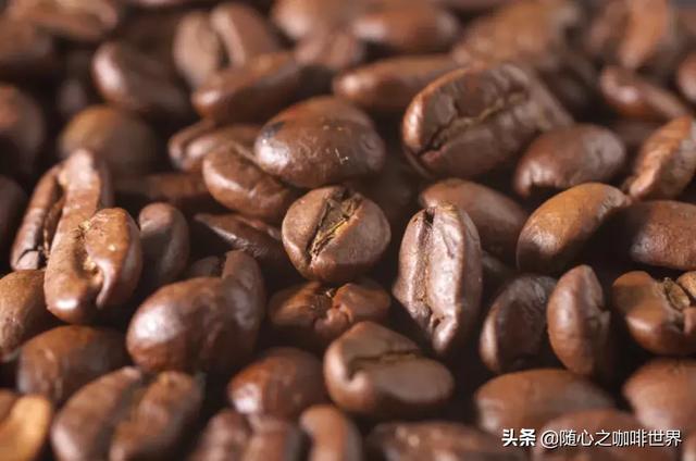 中药材市场波动跌价最惨的十种药材及其未来走向