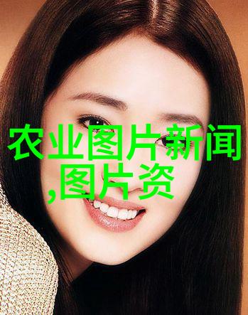 蜜蜂世界养蜂图片大全