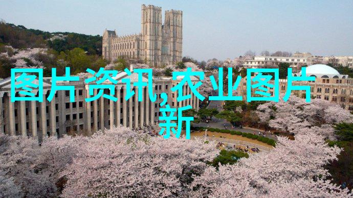 最新报道国家取消公积金政策探讨
