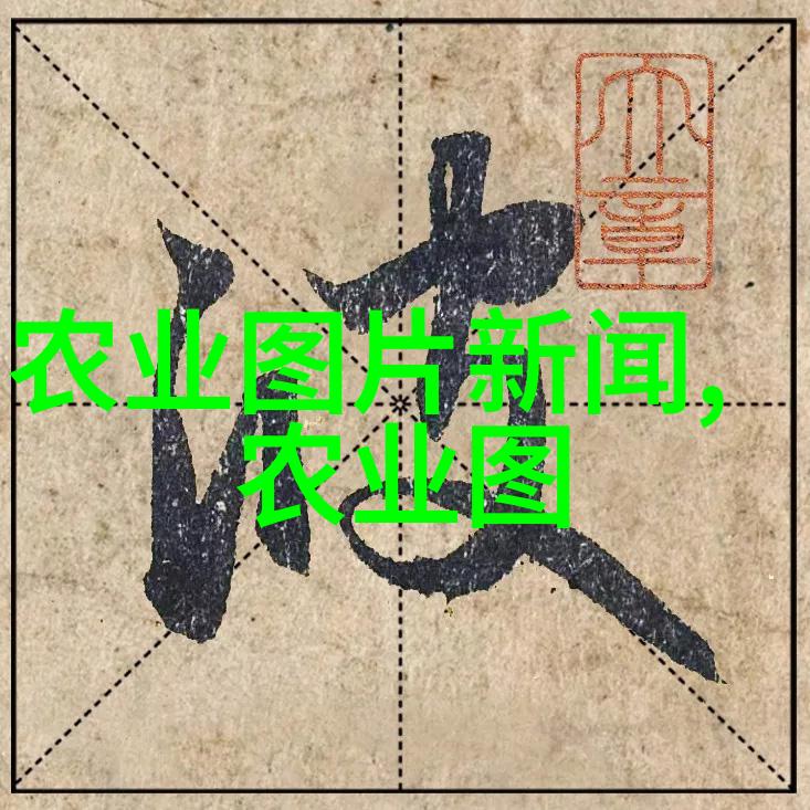 手动电动冷压式各类榨油机的特点解析