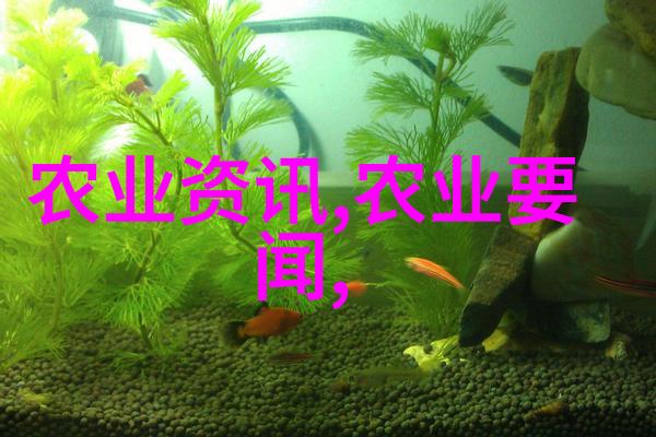 花香里轻语蜂巢里的甜蜜秘密