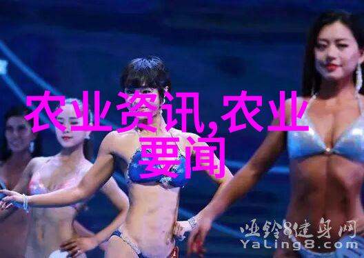 宁夏石嘴山加强农产品质量监管 守护群众菜篮子