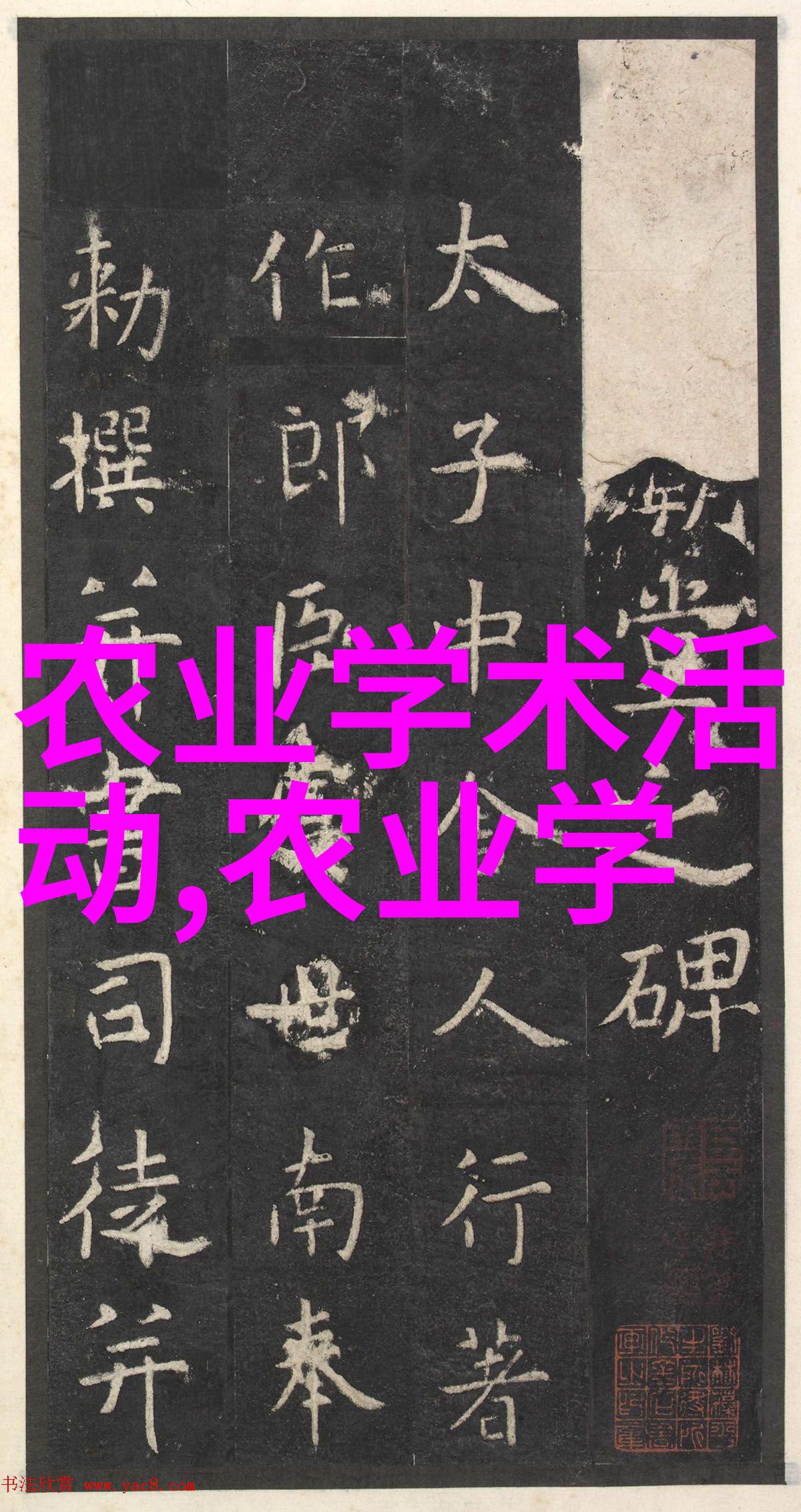边做边爱的BD免费看片之旅
