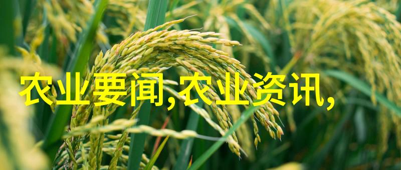 水果种子的奇妙世界开启新生活的秘密