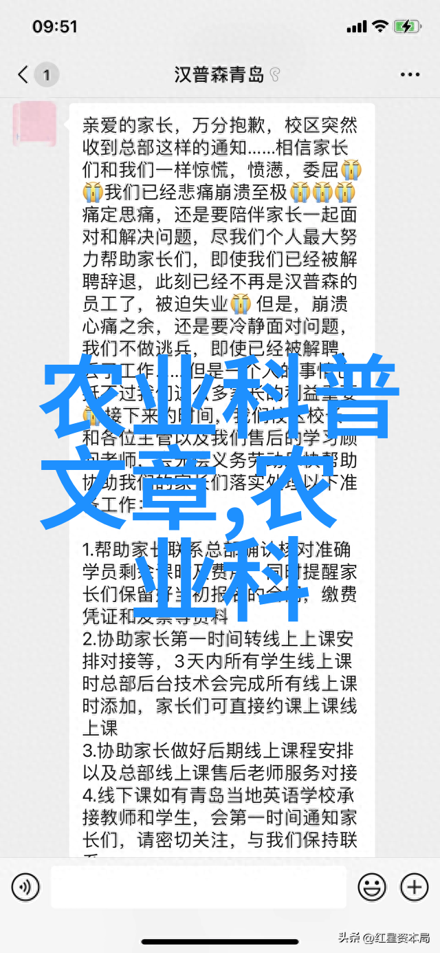 绿色草坪网-碧绿连绵探索完美家庭园艺的秘诀