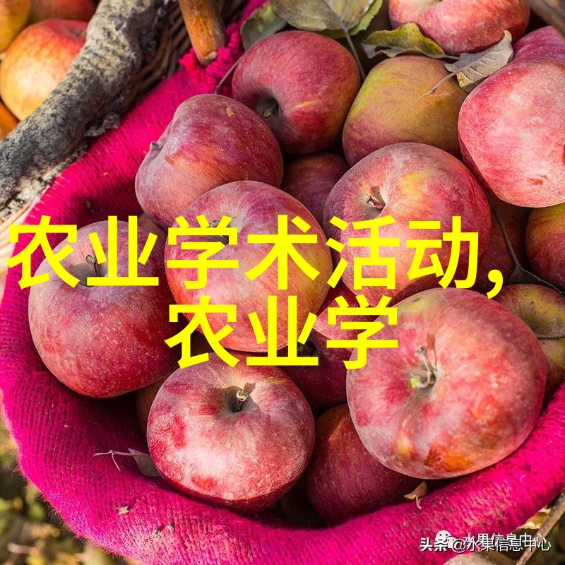 花艺之道揭秘精彩花卉种植技巧