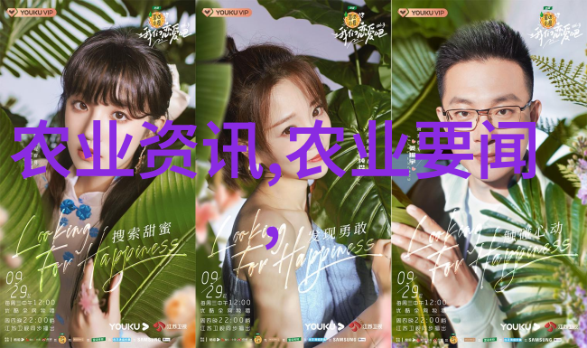 大棚投资一亩之花的价格计较