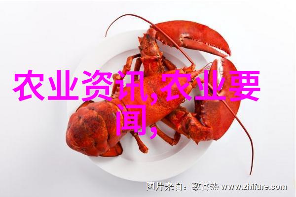 水产养殖业-从鱼池到餐桌水产养殖业的发展历程与创新路径
