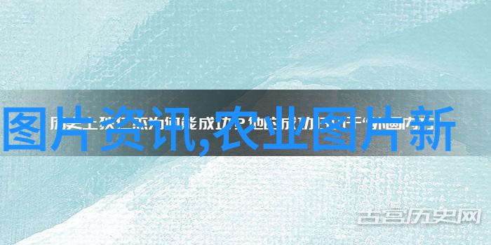 养羊有补贴吗2022年-绿色牧场2022年养羊补贴政策解析与实用指导
