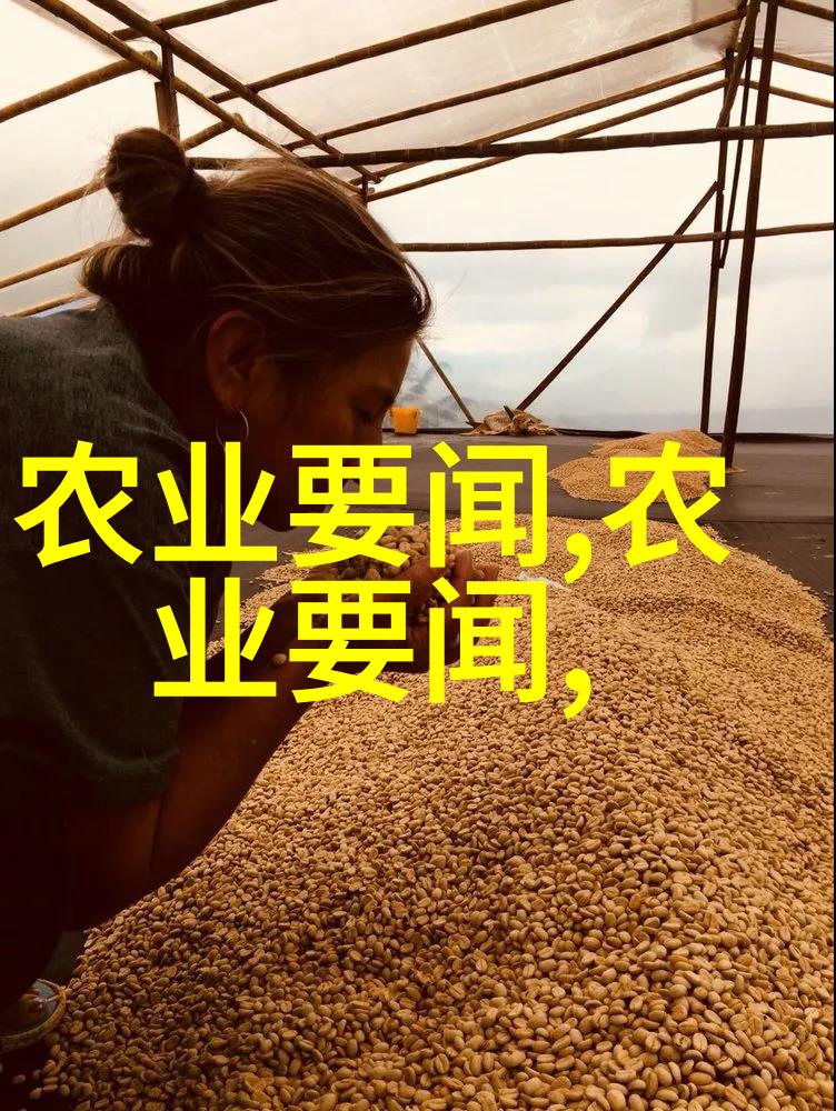 欧洲菊苣秘密花园里的死亡悄语