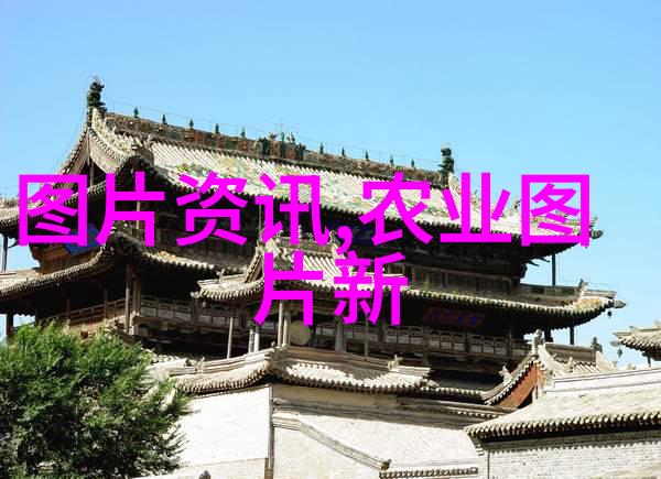 茶艺入门揭秘品鉴之道