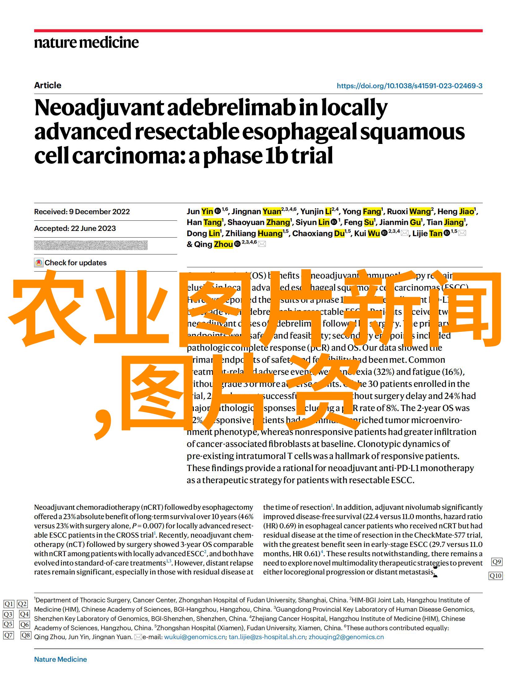 探究影响黄精种植成果的多重因素及对策