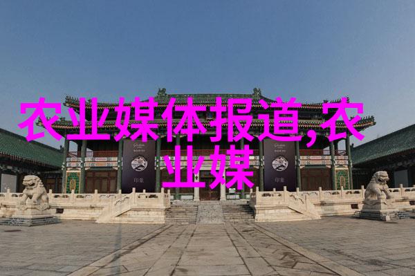 多元经营稳定收入兼顾肉牛与奶牛养殖策略