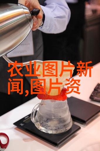 水果种植前景最好的选择丰收的未来