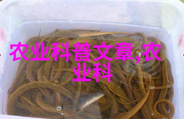 品味生活的艺术探索茶道的内在之美