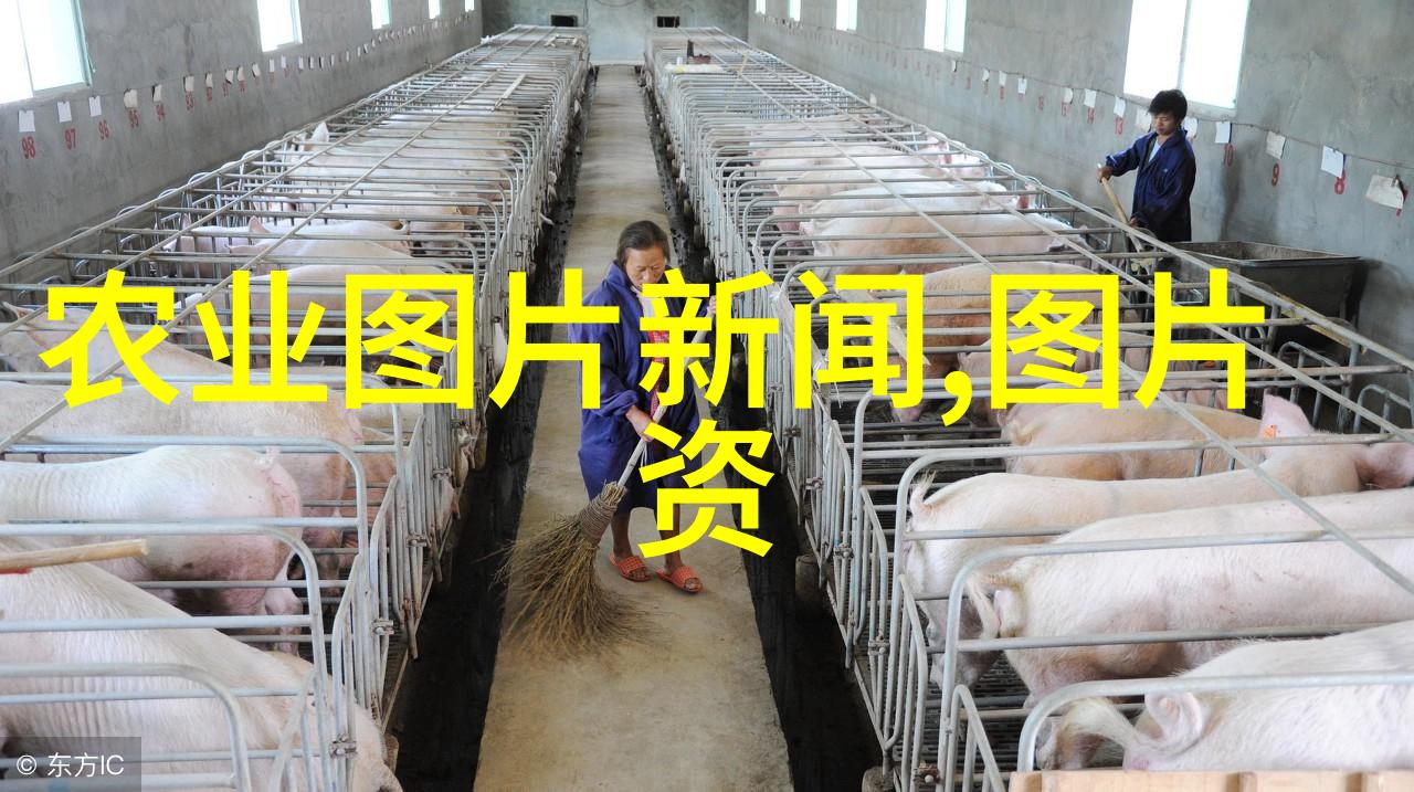 油画里的宁静现代艺术中对传统茶文化的再现