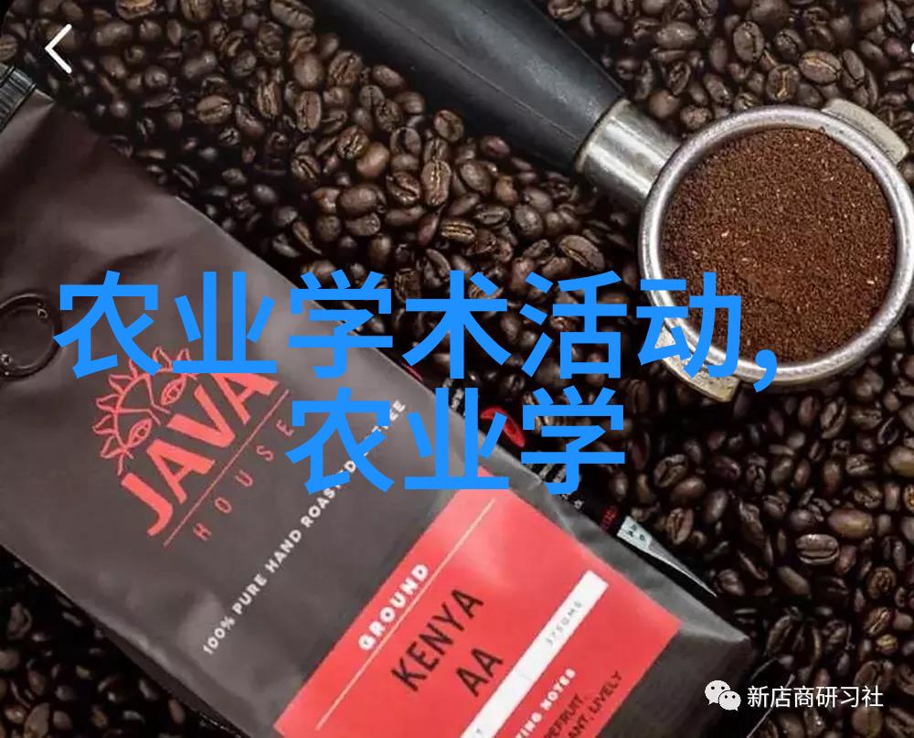 建个花卉大棚挣钱吗-花开富贵探究花卉大棚投资利润的秘密