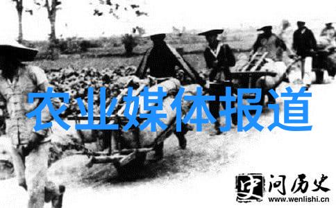 五五工程大获丰收魔芋出新品吃不起的请自行解