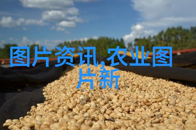 水土保持研究在农村地区实施时面临哪些具体挑战和难题