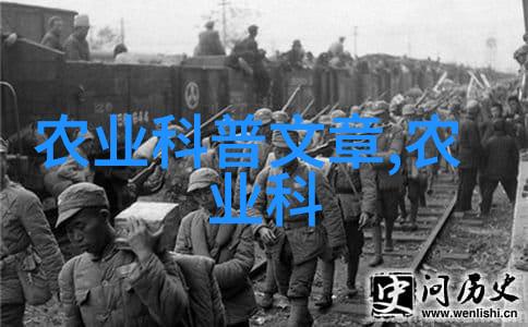 农机市场现状-机械化进程深度解析现代农业农机市场的发展与挑战