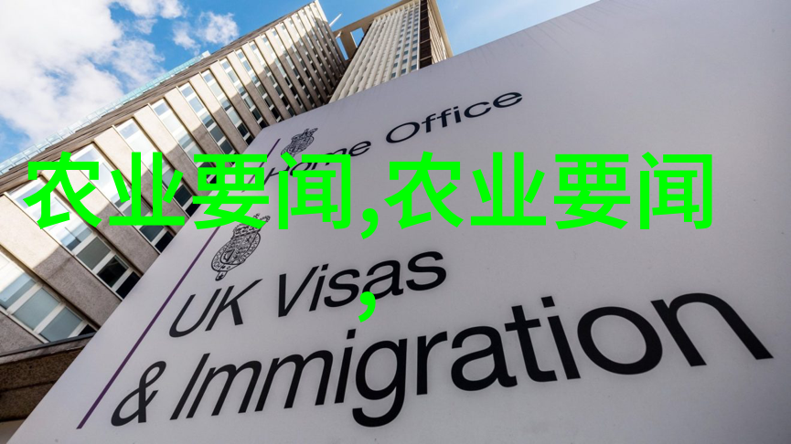 蔬菜园艺大师从零到英雄的绿色梦想