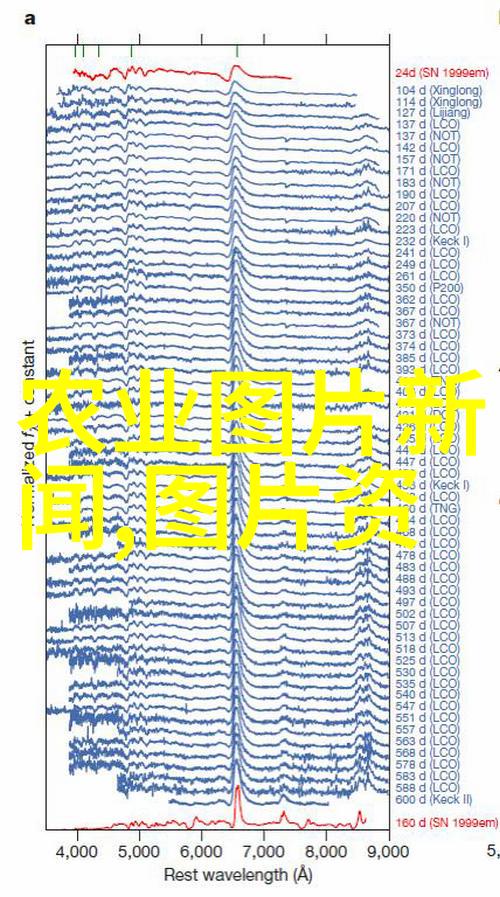 园林设计中的独特规定大门两旁不能有两棵树的智慧与美学