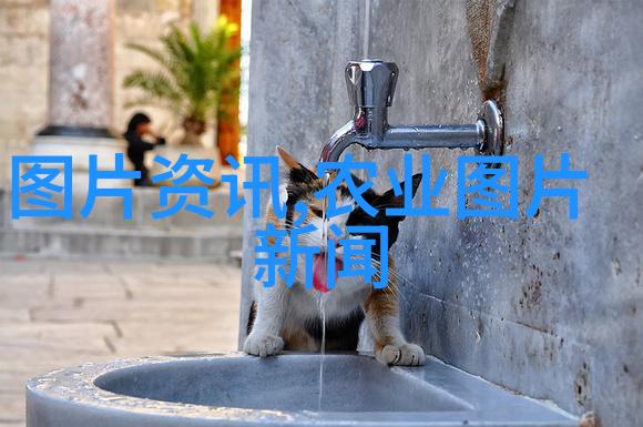 唐小付给学生示范如何种植西瓜苗。