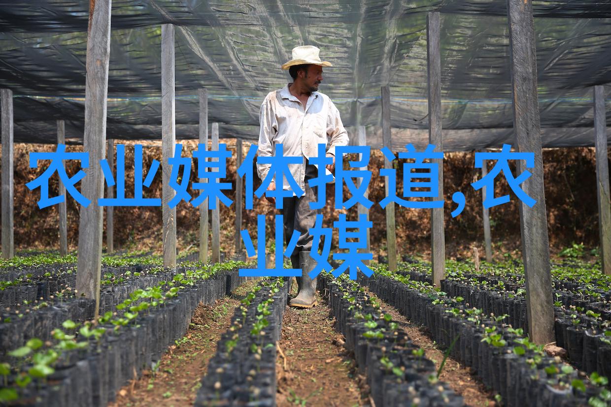 玉米秸秆高效利用技术革新打包机的兴起与未来发展