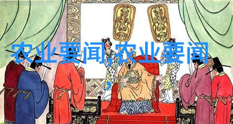 盆栽花卉图片我家的小花园从零到英雄的盆栽之旅