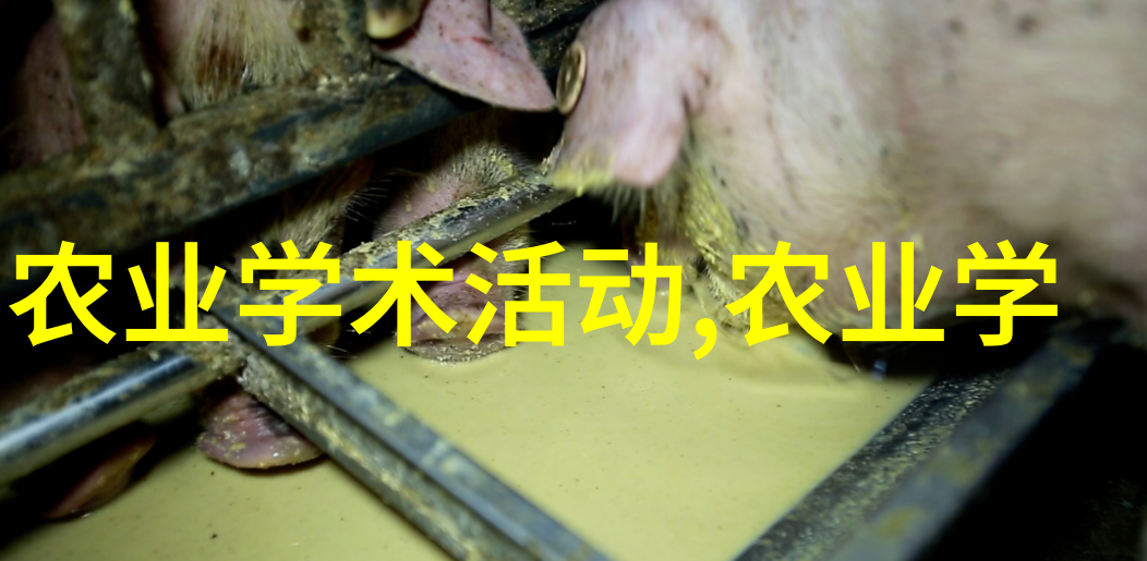 鸭寄生蠕虫病-鸭鸟蛇线虫病上