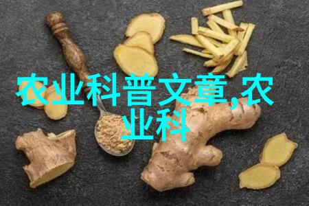 蜂后之谜揭秘如何培育强大蜂王