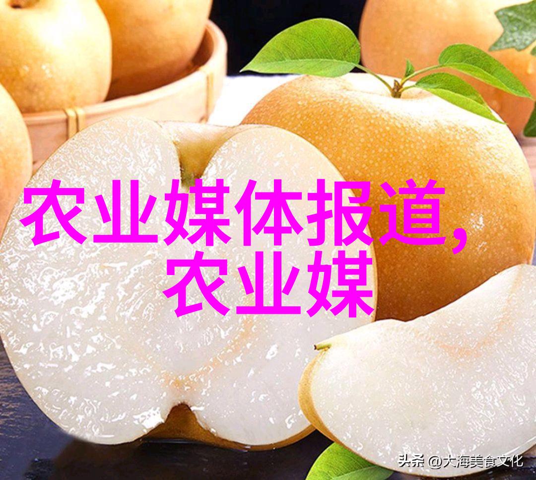 在这片蔬绿的海洋里有机蔬菜大棚种植基地是不是也在悄然变革着我们的味蕾与生活