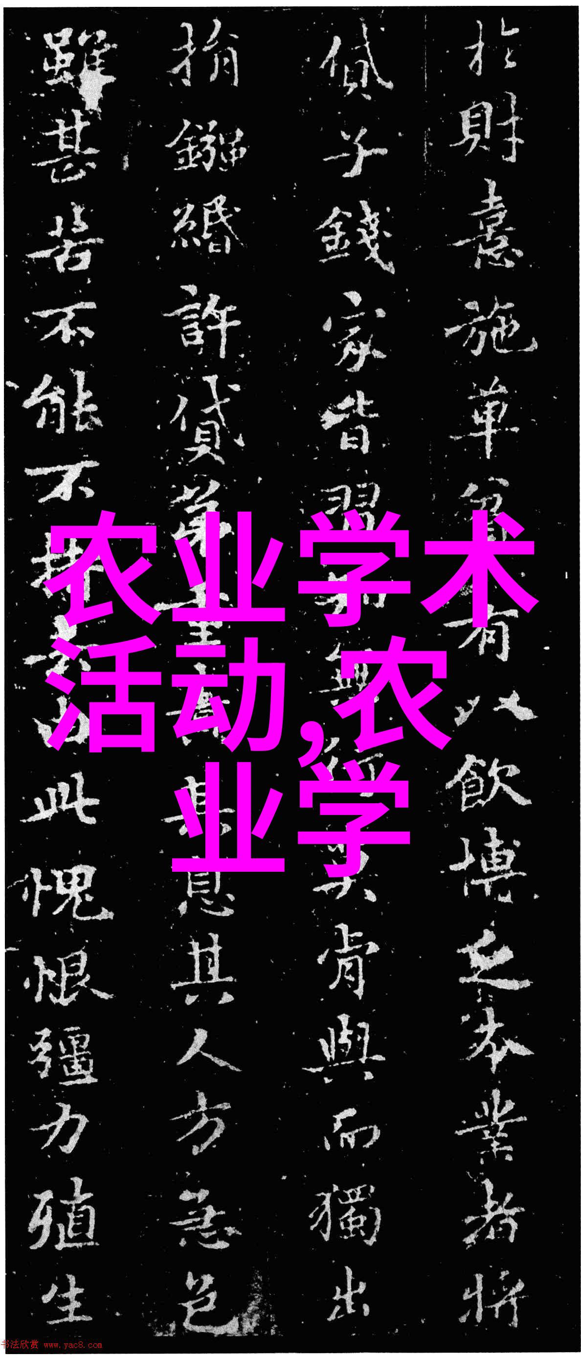 茶叶中的毒素与健康的阴谋揭开长期饮茶的隐秘面纱