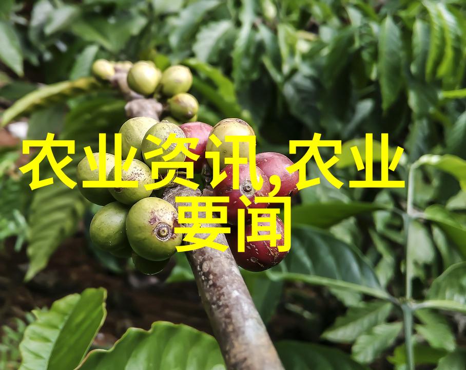 菌类文化-探索微观世界菌类文化的奇妙面纱