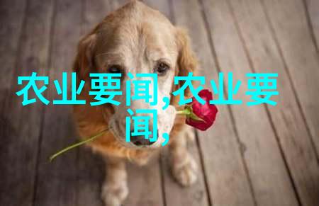 山间草药探秘农村中草药大全图片集中国乡土植物的宝库