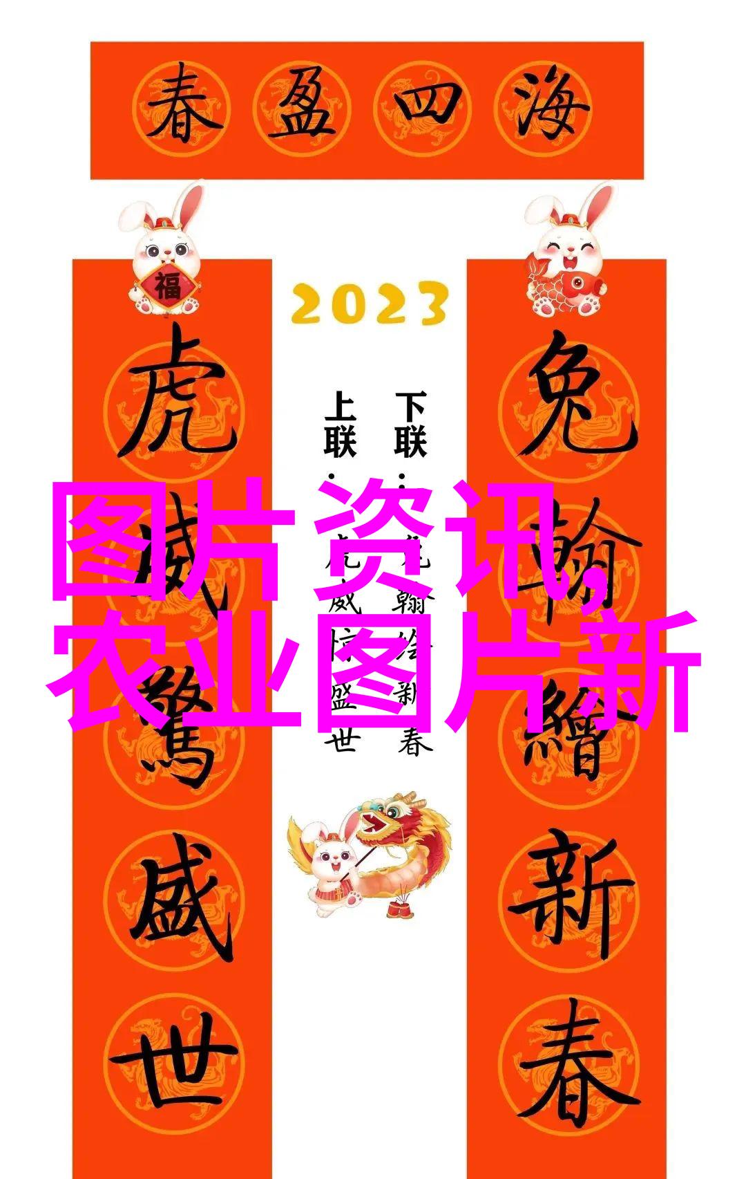 欧洲菊苣野生香气与传统烹饪中的耀眼星辰