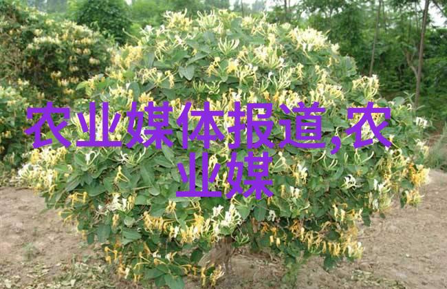 阿坝州天气穿越四川高原的季节变迁