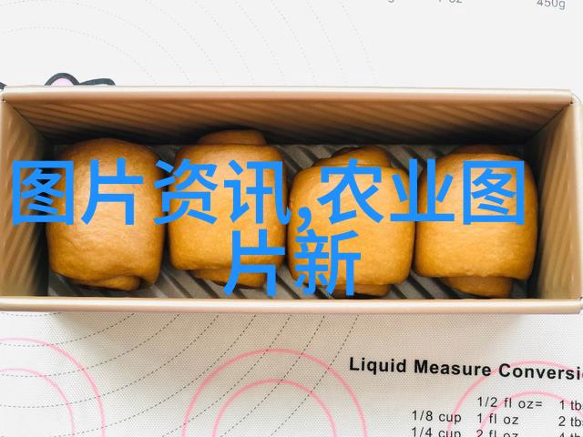 食品安全与质量管理体系建设从理论到实践再谈保障食品安全的小技巧