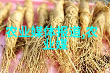 在社会的日常生活中夜来香作为一种农村常见的中草药之一其繁殖方法主要依靠扦插技术通过正确的扦插步骤可以