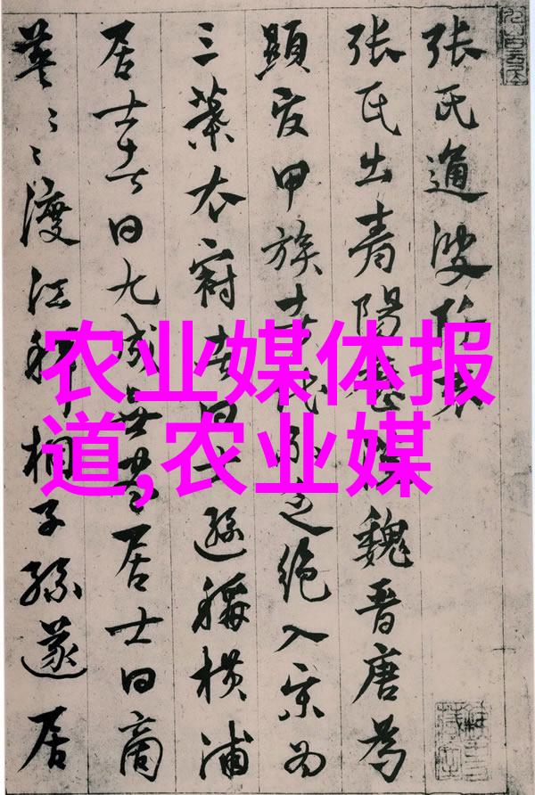 农民工作者在小规模加工厂中可以获得哪些技能提升机会